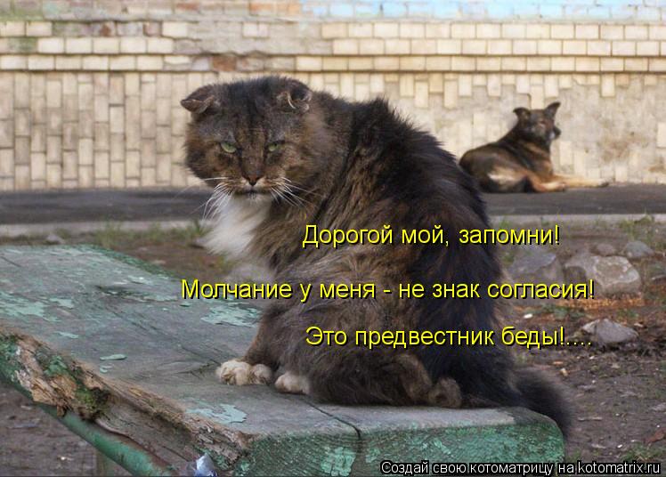 Дорогой мой, запомни! Молчание у меня - не знак согласия! Это предвестник беды!....... Котоматрица: Дорогой мой, запомни! Молчание у меня - не знак согласия! Это предвестник беды!....