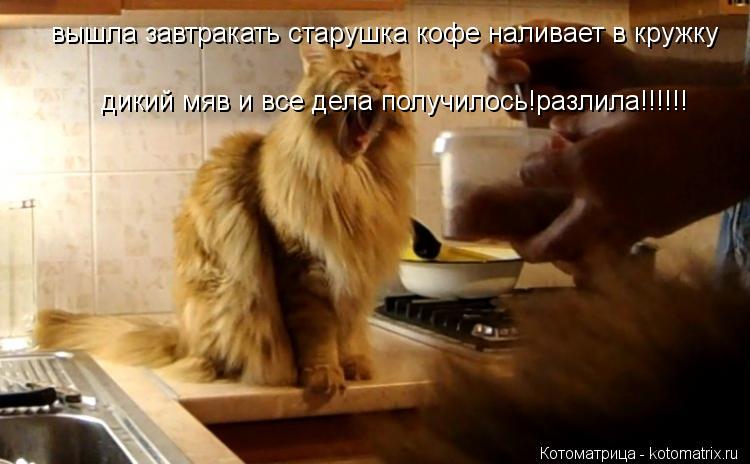 вышла завтракать старушка кофе наливает в кружку дикий мяв и все дела получилось!разлила!!!!!!... Котоматрица: вышла завтракать старушка кофе наливает в кружку дикий мяв и все дела получилось!разлила!!!!!!