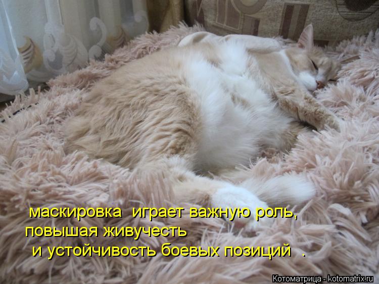 повышая живучесть маскировка играет важную роль, и устойчивость боевых позиций .... Котоматрица: повышая живучесть маскировка играет важную роль, и устойчивость боевых позиций .