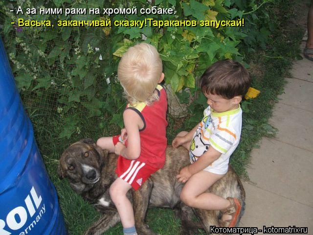 - А за ними раки на хромой собаке. - Васька, заканчивай сказку!Тараканов запускай!... Котоматрица: - А за ними раки на хромой собаке. - Васька, заканчивай сказку!Тараканов запускай!