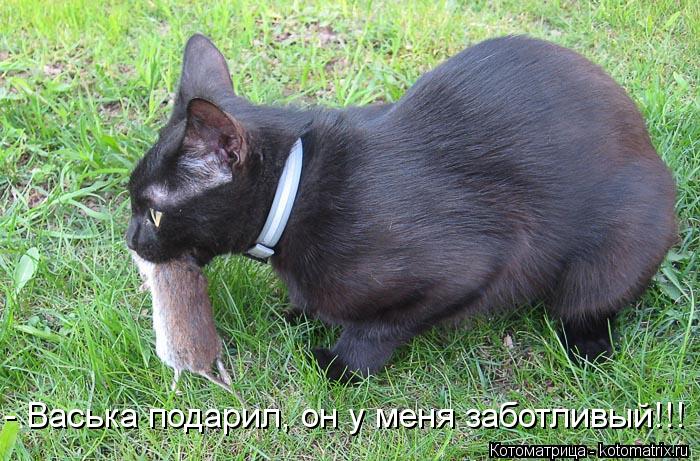 - Васька подарил, он у меня заботливый!!!... Котоматрица: - Васька подарил, он у меня заботливый!!!