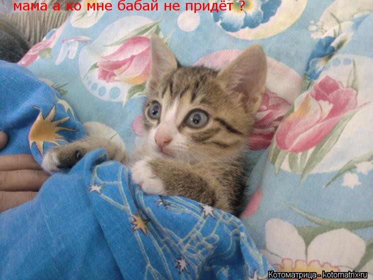 мама а ко мне бабай не придёт ?... Котоматрица: мама а ко мне бабай не придёт ?