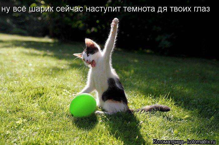 ну всё шарик сейчас наступит темнота дя твоих глаз... Котоматрица: ну всё шарик сейчас наступит темнота дя твоих глаз