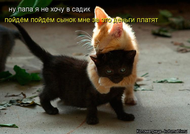 ну папа я не хочу в садик пойдём пойдём сынок мне за это деньги платят... Котоматрица: ну папа я не хочу в садик пойдём пойдём сынок мне за это деньги платят