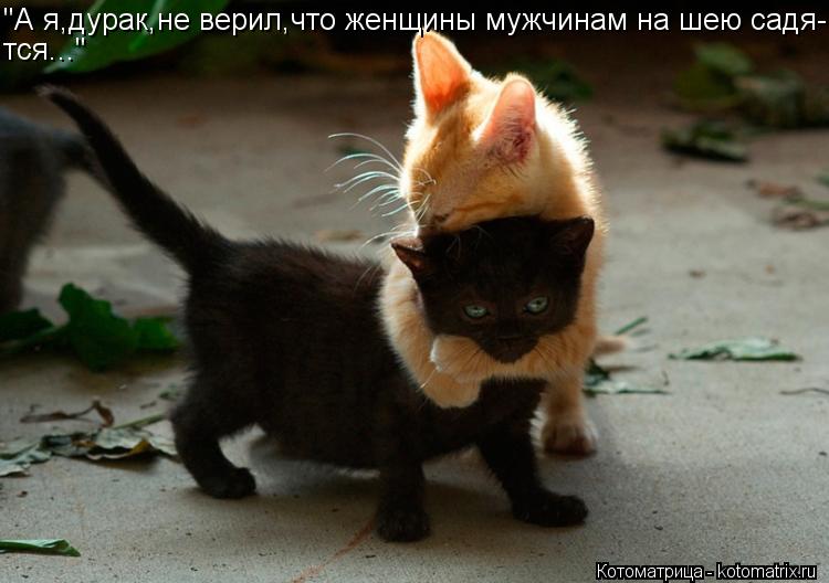 "А я,дурак,не верил,что женщины мужчинам на шею садя- тся..."... Котоматрица: "А я,дурак,не верил,что женщины мужчинам на шею садя- тся..."