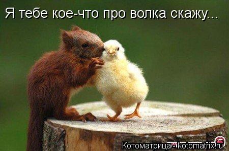 Я тебе кое-что про волка скажу...... Котоматрица: Я тебе кое-что про волка скажу...
