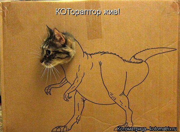 Котоматрица: КОТораптор жив!