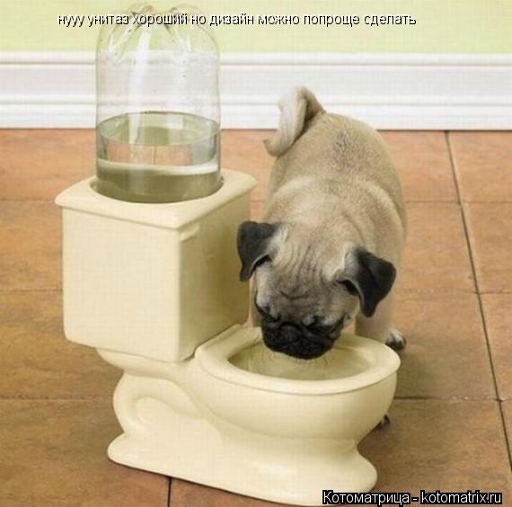 Котоматрица: нууу унитаз хороший но дизайн можно попроще сделать