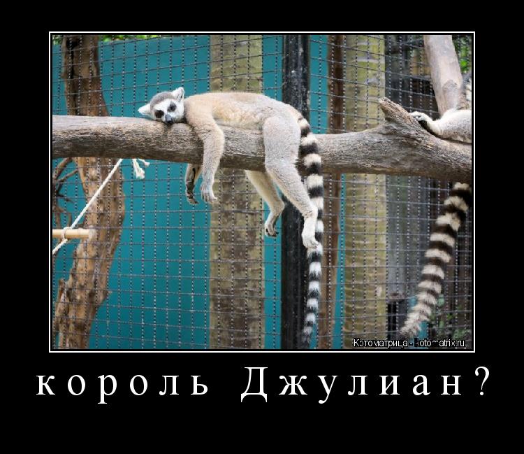 король Джулиан? ... Котоматрица: король Джулиан?