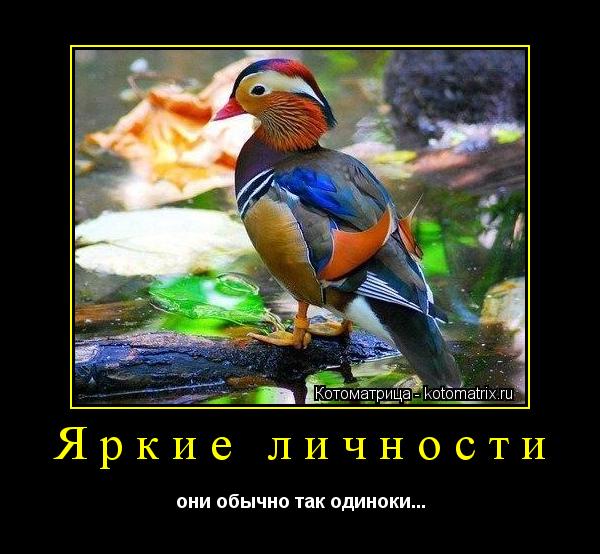 Яркие личности они обычно так одиноки...... Котоматрица: Яркие личности они обычно так одиноки...