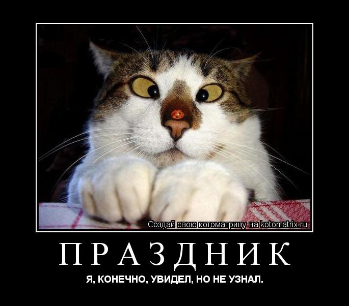 ПРАЗДНИК Я, КОНЕЧНО, УВИДЕЛ, НО НЕ УЗНАЛ.... Котоматрица: ПРАЗДНИК Я, КОНЕЧНО, УВИДЕЛ, НО НЕ УЗНАЛ.