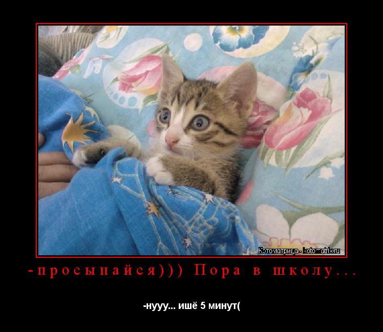 -просыпайся))) Пора в школу... -нууу... ишё 5 минут(... Котоматрица: -просыпайся))) Пора в школу... -нууу... ишё 5 минут(