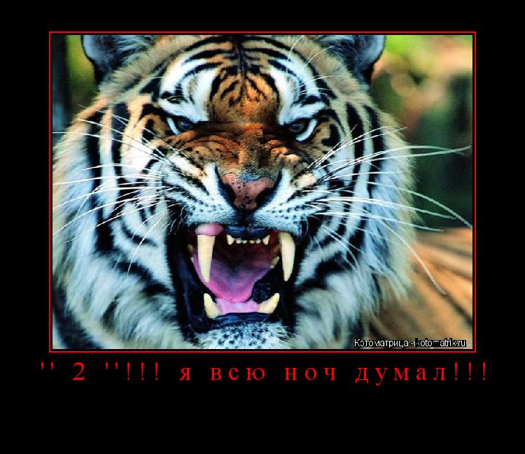 ' 2 '!!! я всю ноч думал!!! ... Котоматрица: ' 2 '!!! я всю ноч думал!!!