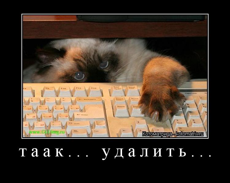 таак... удалить... ... Котоматрица: таак... удалить...