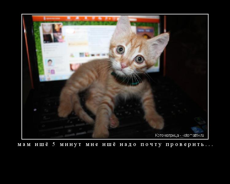 Котоматрица: мам ишё 5 минут мне ишё надо почту проверить... 