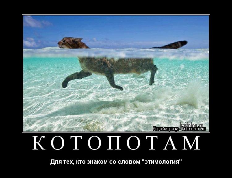 КОТОПОТАМ Для тех, кто знаком со словом "этимология"... Котоматрица: КОТОПОТАМ Для тех, кто знаком со словом "этимология"