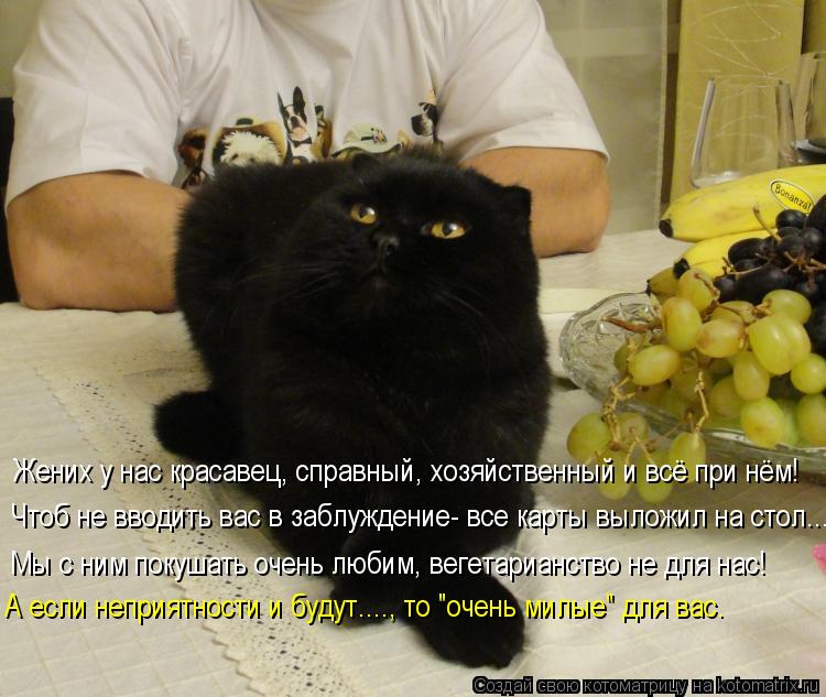 Жених у нас красавец, справный, хозяйственный и всё при нём! Чтоб не вводить вас в заблуждение- все к... Котоматрица: Жених у нас красавец, справный, хозяйственный и всё при нём! Чтоб не вводить вас в заблуждение- все карты выложил на стол... Мы с ним покушать