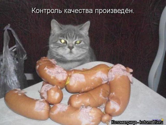 Контроль качества произведён.... Котоматрица: Контроль качества произведён.