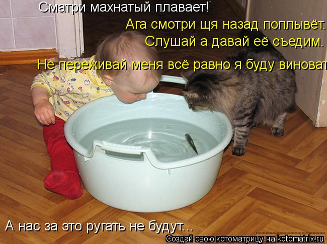 Cматри махнатый плавает! Ага смотри щя назад поплывёт. Слушай а давай её съедим. А нас за это ругать... Котоматрица: Cматри махнатый плавает! Ага смотри щя назад поплывёт. Слушай а давай её съедим. А нас за это ругать не будут... Не переживай меня всё равно я