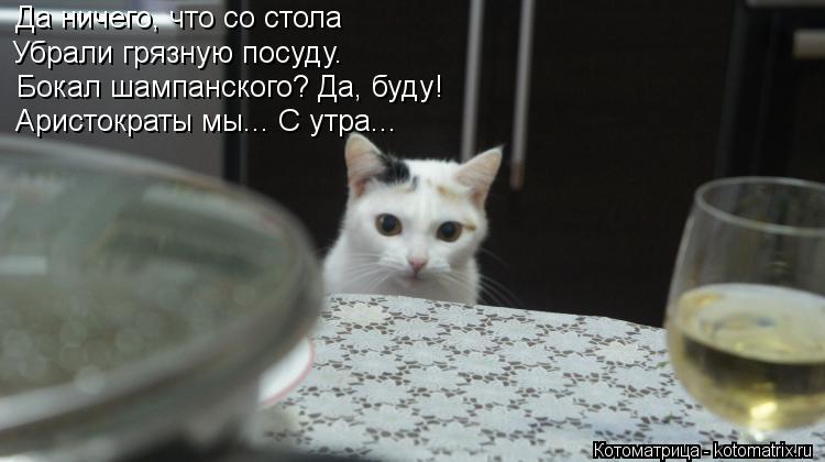 Да ничего, что со стола Убрали грязную посуду. Бокал шампанского? Да, буду! Аристократы мы... С утра.... Котоматрица: Да ничего, что со стола Убрали грязную посуду. Бокал шампанского? Да, буду! Аристократы мы... С утра...