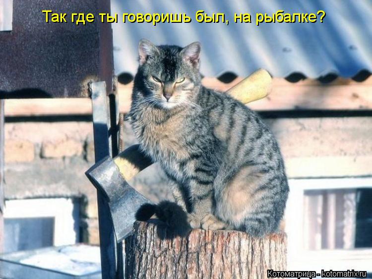 Котоматрица: Так где ты говоришь был, на рыбалке?