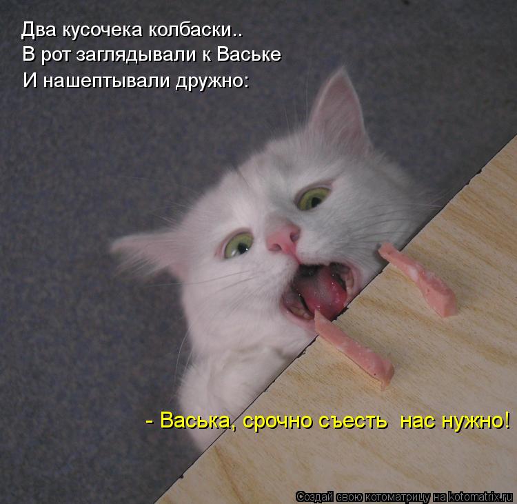 Два кусочека колбаски.. В рот заглядывали к Ваське И нашептывали дружно: - Васька, срочно съесть нас... Котоматрица: Два кусочека колбаски.. В рот заглядывали к Ваське И нашептывали дружно: - Васька, срочно съесть нас нужно!