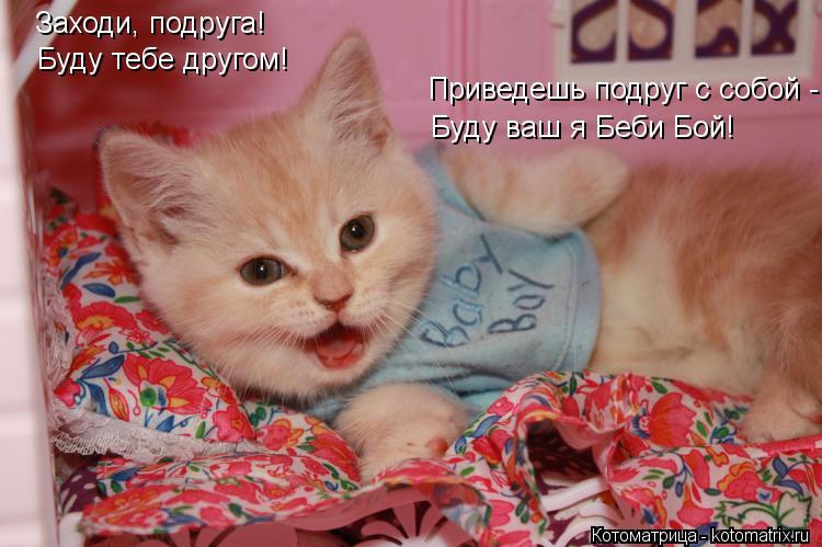 Заходи, подруга! Буду ваш я Беби Бой! Буду тебе другом! Приведешь подруг с собой -... Котоматрица: Заходи, подруга! Буду ваш я Беби Бой! Буду тебе другом! Приведешь подруг с собой -
