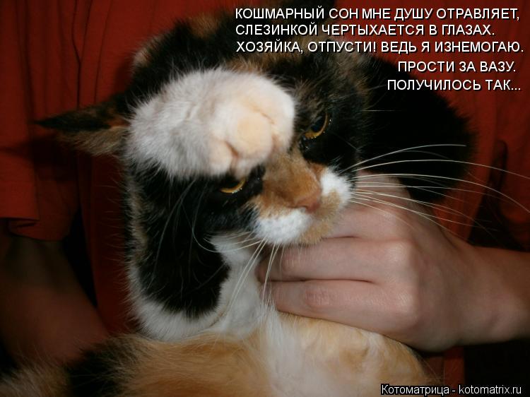 КОШМАРНЫЙ СОН МНЕ ДУШУ ОТРАВЛЯЕТ, СЛЕЗИНКОЙ ЧЕРТЫХАЕТСЯ В ГЛАЗАХ. ХОЗЯЙКА, ОТПУСТИ! ВЕДЬ Я ИЗНЕМОГАЮ.... Котоматрица: КОШМАРНЫЙ СОН МНЕ ДУШУ ОТРАВЛЯЕТ, СЛЕЗИНКОЙ ЧЕРТЫХАЕТСЯ В ГЛАЗАХ. ХОЗЯЙКА, ОТПУСТИ! ВЕДЬ Я ИЗНЕМОГАЮ. ПРОСТИ ЗА ВАЗУ. ПОЛУЧИЛОСЬ ТАК...