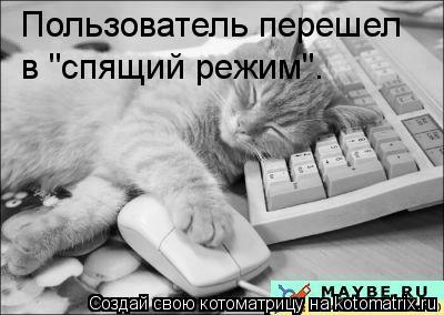 Пользователь перешел в "спящий режим".... Котоматрица: Пользователь перешел в "спящий режим".