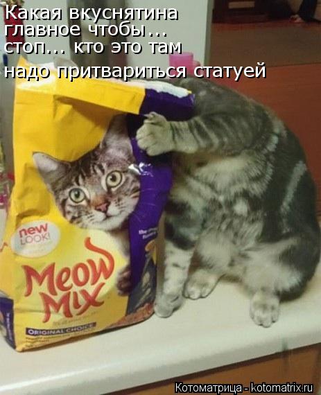 Какая вкуснятина главное чтобы ... стоп... кто это там надо притвариться статуей... Котоматрица: Какая вкуснятина главное чтобы ... стоп... кто это там надо притвариться статуей
