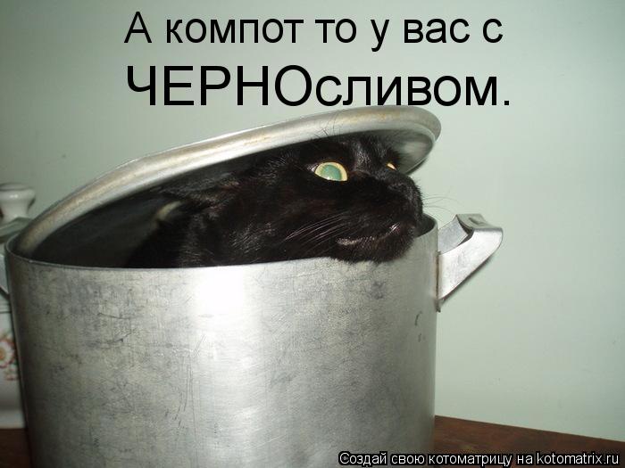 А компот то у вас с ЧЕРНОсливом.... Котоматрица: А компот то у вас с ЧЕРНОсливом.
