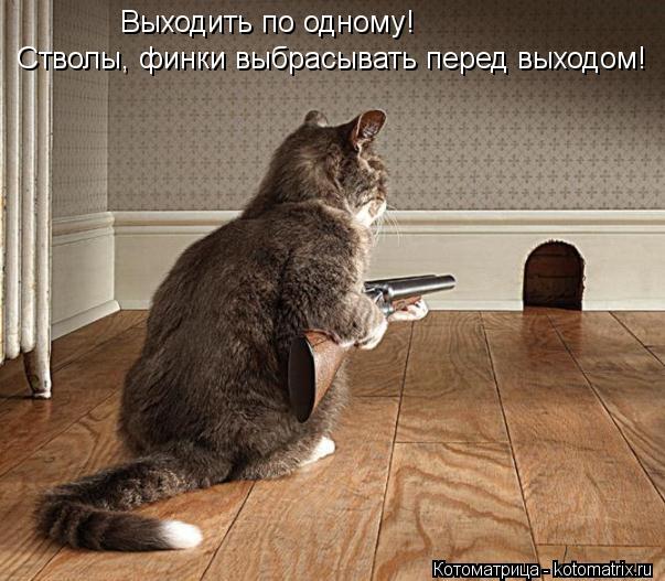 Выходить по одному! Стволы, финки выбрасывать перед выходом!... Котоматрица: Выходить по одному! Стволы, финки выбрасывать перед выходом!