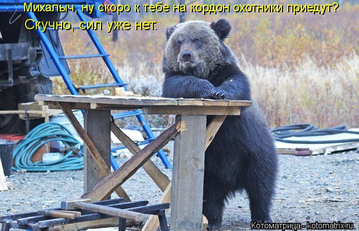 Котоматрица: Михалыч, ну скоро к тебе на кордон охотники приедут? Скучно, сил уже нет.