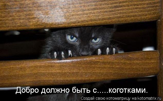 Добро должно быть с.....коготками.... Котоматрица: Добро должно быть с.....коготками.