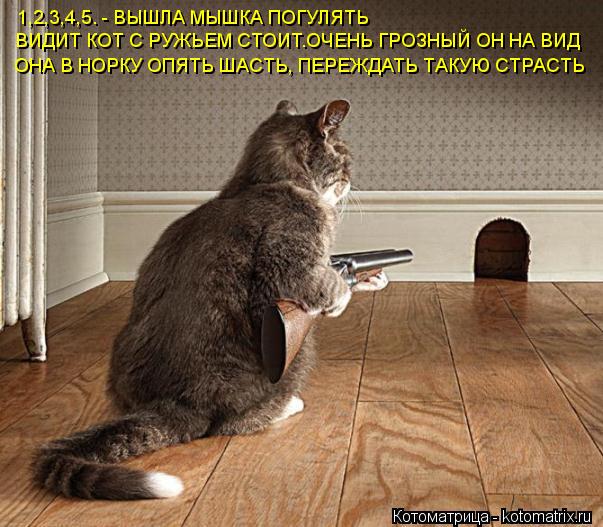 Котоматрица: ВИДИТ КОТ С РУЖЬЕМ СТОИТ.ОЧЕНЬ ГРОЗНЫЙ ОН НА ВИД 1,2,3,4,5. - ВЫШЛА МЫШКА ПОГУЛЯТЬ ОНА В НОРКУ ОПЯТЬ ШАСТЬ, ПЕРЕЖДАТЬ ТАКУЮ СТРАСТЬ