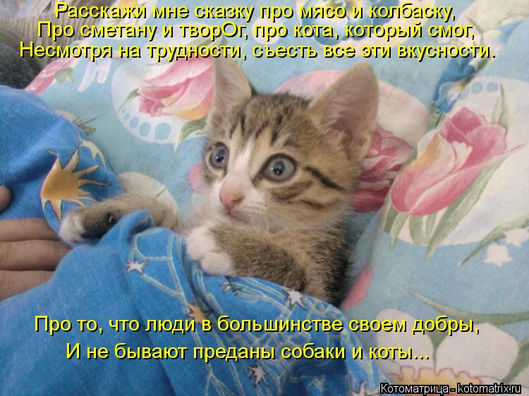 Про то, что люди в большинстве своем добры, И не бывают преданы собаки и коты... Расскажи мне сказку ... Котоматрица: Про то, что люди в большинстве своем добры, И не бывают преданы собаки и коты... Расскажи мне сказку про мясо и колбаску, Про сметану и творОг,