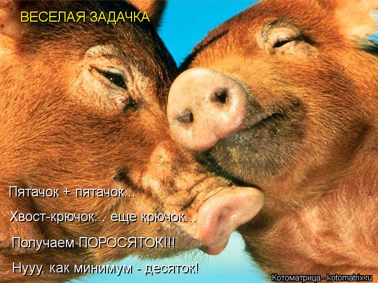 Пятачок + пятачок... Хвост-крючок... еще крючок... Получаем ПОРОСЯТОК!!! Нууу, как минимум - десяток!... Котоматрица: Пятачок + пятачок... Хвост-крючок... еще крючок... Получаем ПОРОСЯТОК!!! Нууу, как минимум - десяток! ВЕСЕЛАЯ ЗАДАЧКА