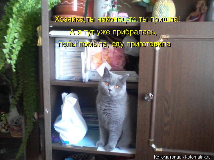 Хозяйка,ты наконец-то ты пришла! А я тут уже прибралась, полы помыла, еду приготовила.... Котоматрица: Хозяйка,ты наконец-то ты пришла! А я тут уже прибралась, полы помыла, еду приготовила.