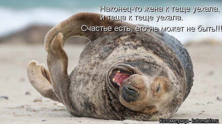 Наконец-то жена к теще уехала, и теща к теще уехала. Счастье есть, его не может не быть!!!... Котоматрица: Наконец-то жена к теще уехала, и теща к теще уехала. Счастье есть, его не может не быть!!!