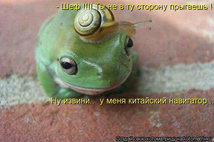 - Шеф !!!! Ты не в ту сторону прыгаешь ! - Ну извини.. у меня китайский навигатор ...... Котоматрица: - Шеф !!!! Ты не в ту сторону прыгаешь ! - Ну извини.. у меня китайский навигатор ...