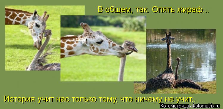 В общем, так. Опять жираф... История учит нас только тому, что ничему не учит...... Котоматрица: В общем, так. Опять жираф... История учит нас только тому, что ничему не учит...