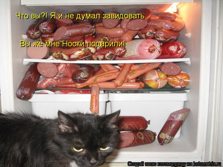 Что вы?! Я и не думал завидовать. Вы же мне Носки подарили!... Котоматрица: Что вы?! Я и не думал завидовать. Вы же мне Носки подарили!