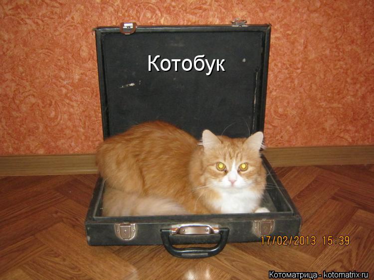 Котоматрица: Котобук