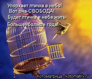 Упорхает птичка в небо! Вот она-СВОБОДА! Будет птичка в небе жить Больше, больше года!... Котоматрица: Упорхает птичка в небо! Вот она-СВОБОДА! Будет птичка в небе жить Больше, больше года!