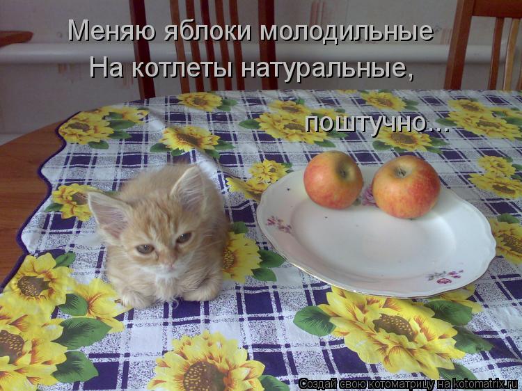 Котоматрица: Меняю яблоки молодильные На котлеты натуральные, поштучно...