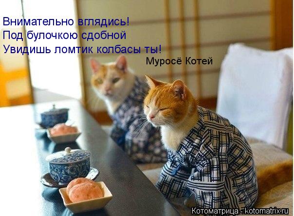 Внимательно вглядись! Под булочкою сдобной Увидишь ломтик колбасы ты! Муросё Котей... Котоматрица: Внимательно вглядись! Под булочкою сдобной Увидишь ломтик колбасы ты! Муросё Котей