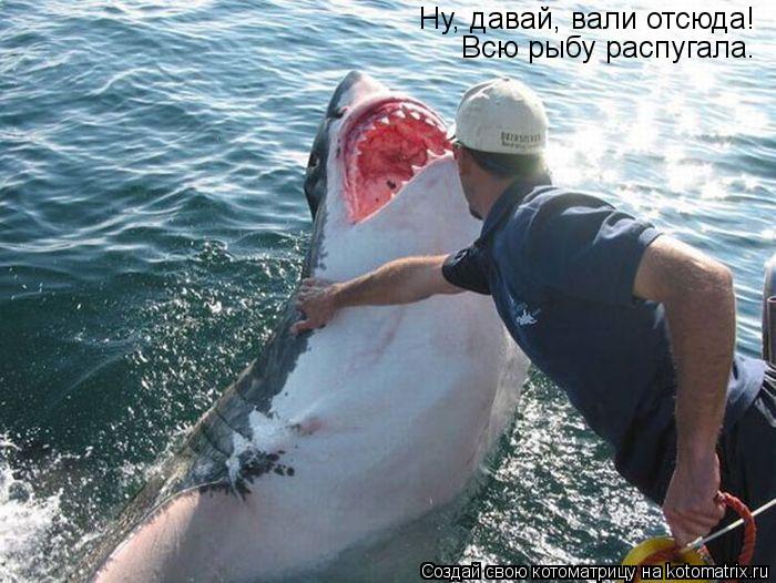 Ну, давай, вали отсюда! Всю рыбу распугала.... Котоматрица: Ну, давай, вали отсюда! Всю рыбу распугала.