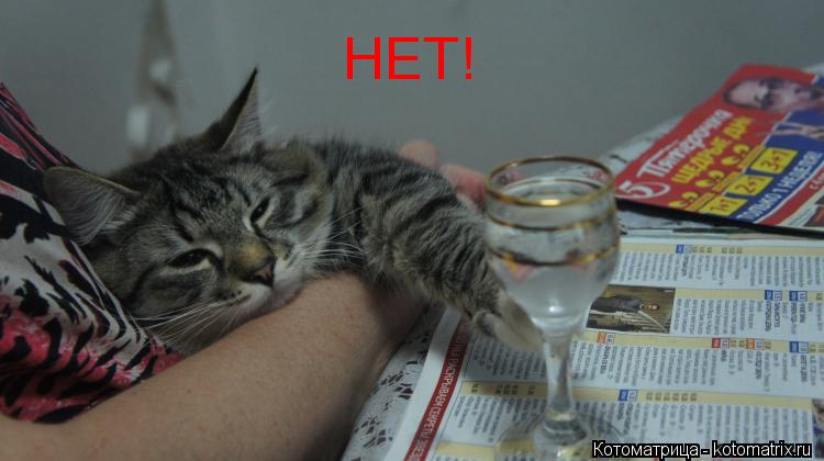 НЕТ!... Котоматрица: НЕТ!