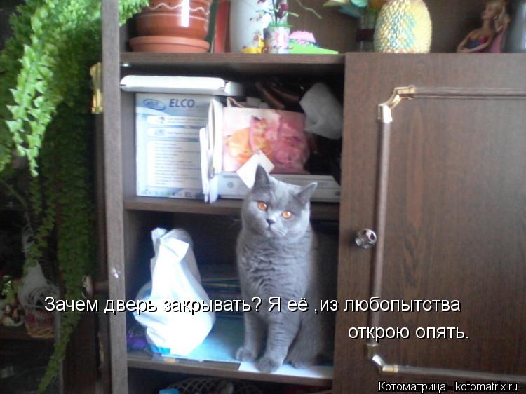 Зачем дверь закрывать? Я её ,из любопытства открою опять.... Котоматрица: Зачем дверь закрывать? Я её ,из любопытства открою опять.