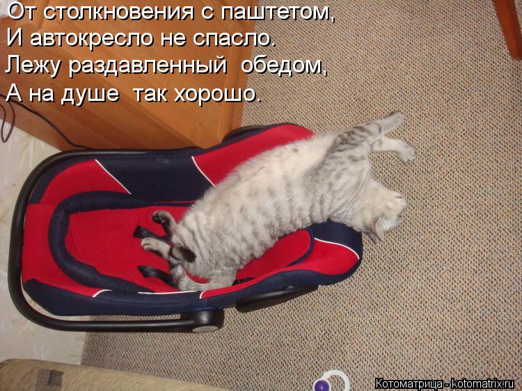 От столкновения с паштетом, И автокресло не спасло. Лежу раздавленный обедом, А на душе так хорошо.... Котоматрица: От столкновения с паштетом, И автокресло не спасло. Лежу раздавленный обедом, А на душе так хорошо.